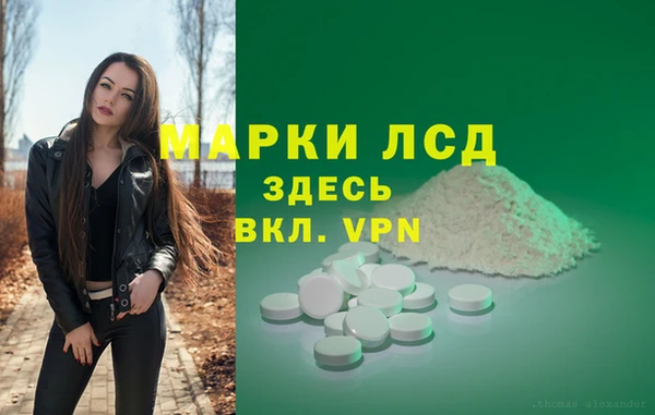 PSILOCYBIN Балабаново