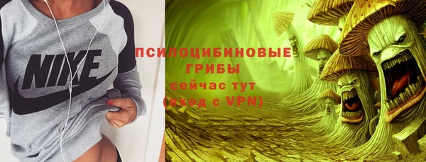 PSILOCYBIN Балабаново
