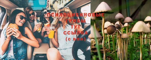 PSILOCYBIN Балабаново