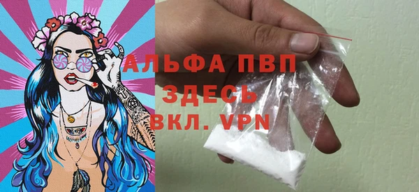 PSILOCYBIN Балабаново