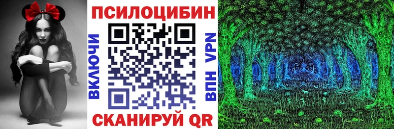 kraken как войти  Реутов  Галлюциногенные грибы Psilocybine cubensis 